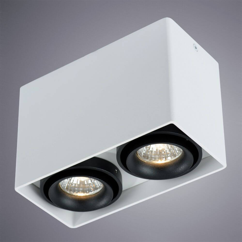Светильник потолочный Arte Lamp Pictor A5655PL-2WH