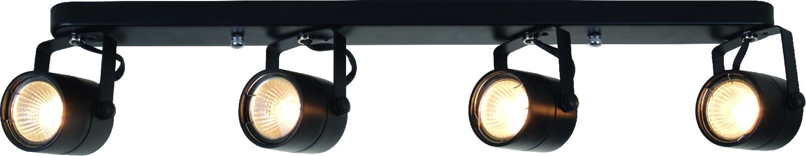 Светильник накладной Arte Lamp Lente A1310PL-4BK
