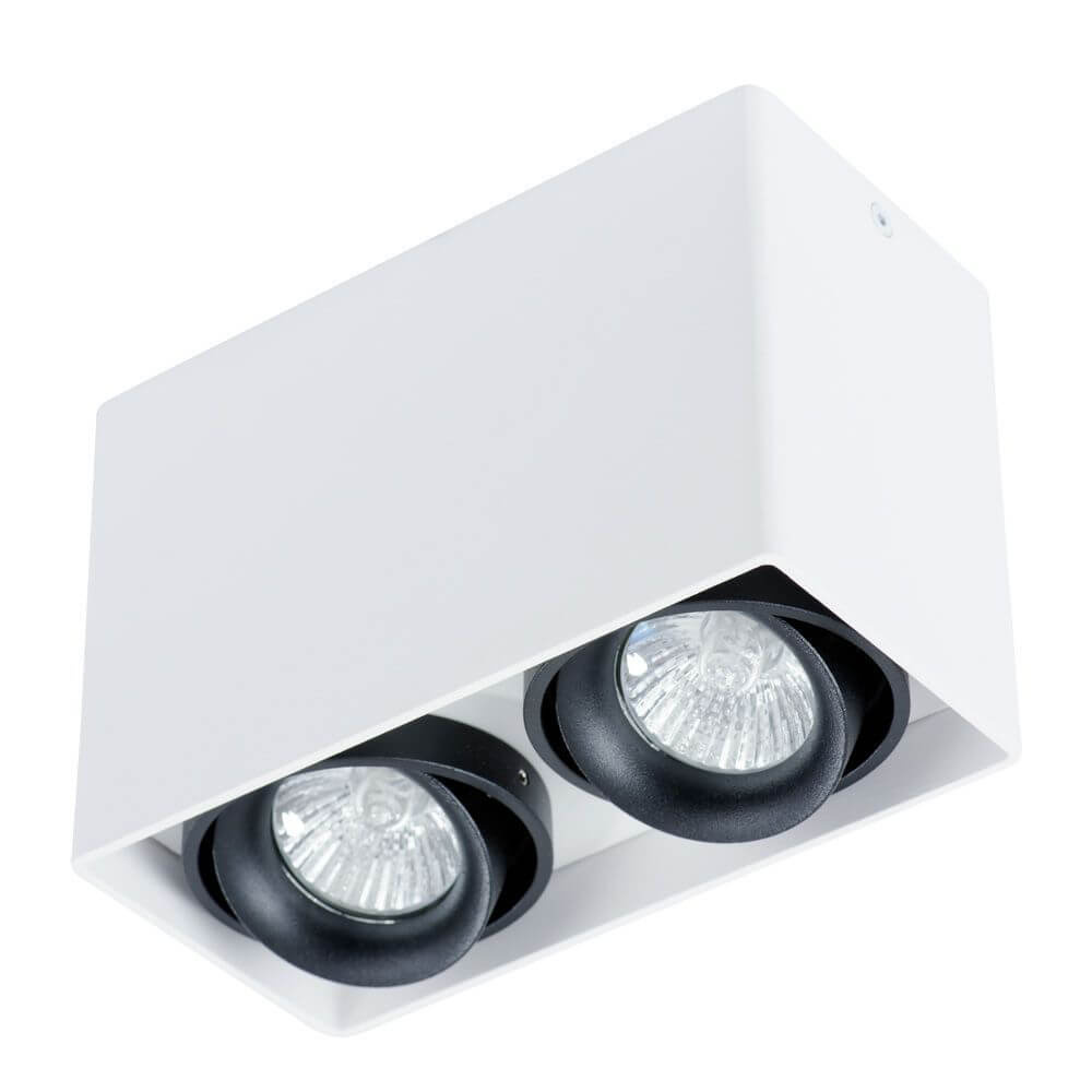 Светильник потолочный Arte Lamp Pictor A5655PL-2WH