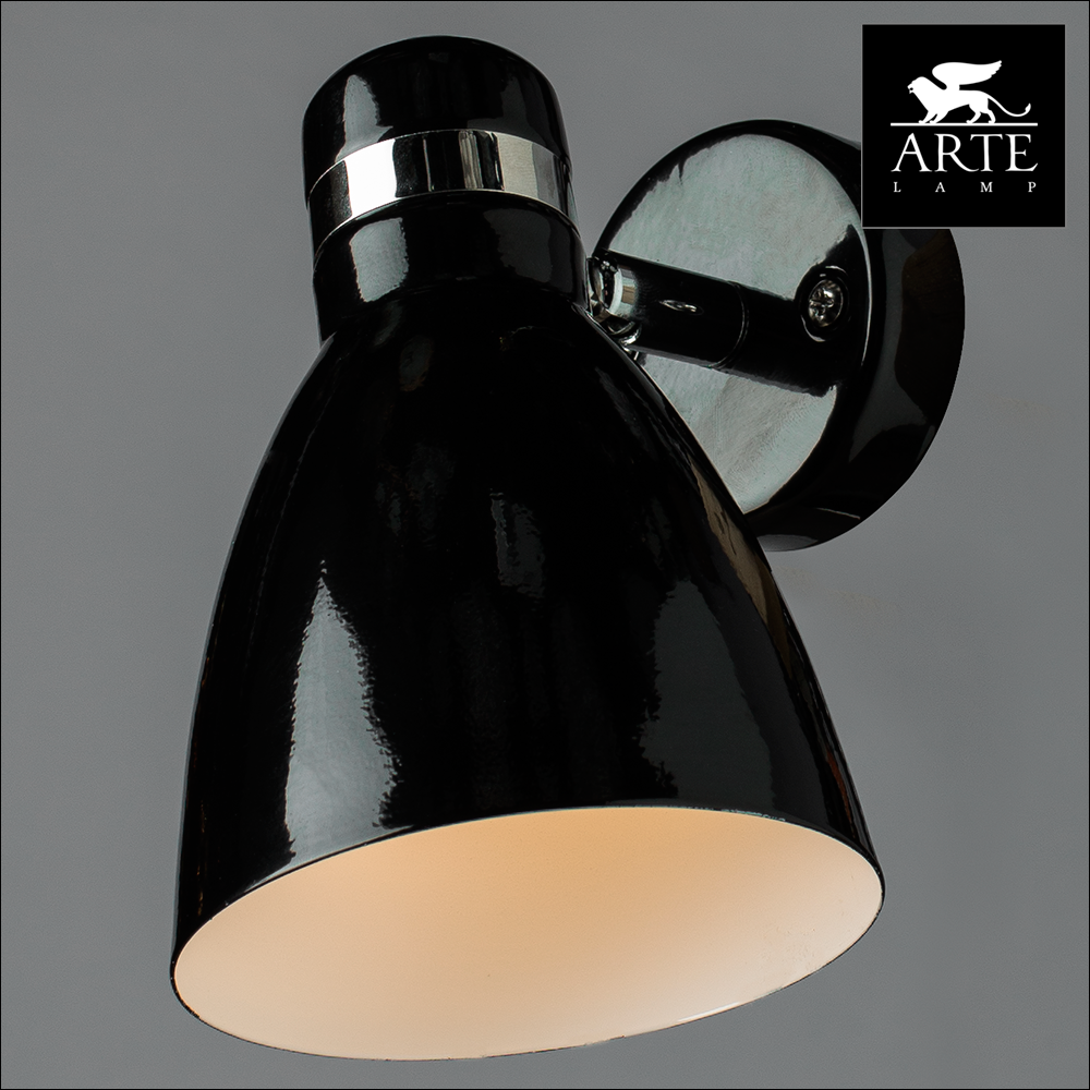 Светильник накладной Arte Lamp Mercoled A5049AP-1BK
