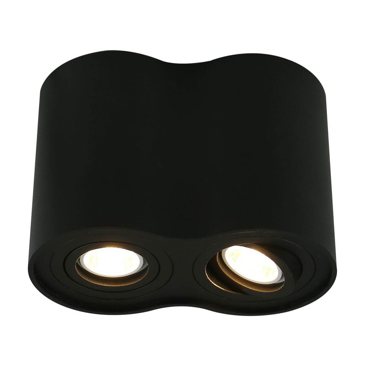 Светильник потолочный Arte Lamp Falcon A5644PL-2BK