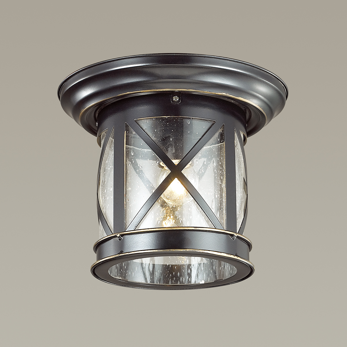 Светильник уличный потолочный Odeon Light Sation 4045/1C