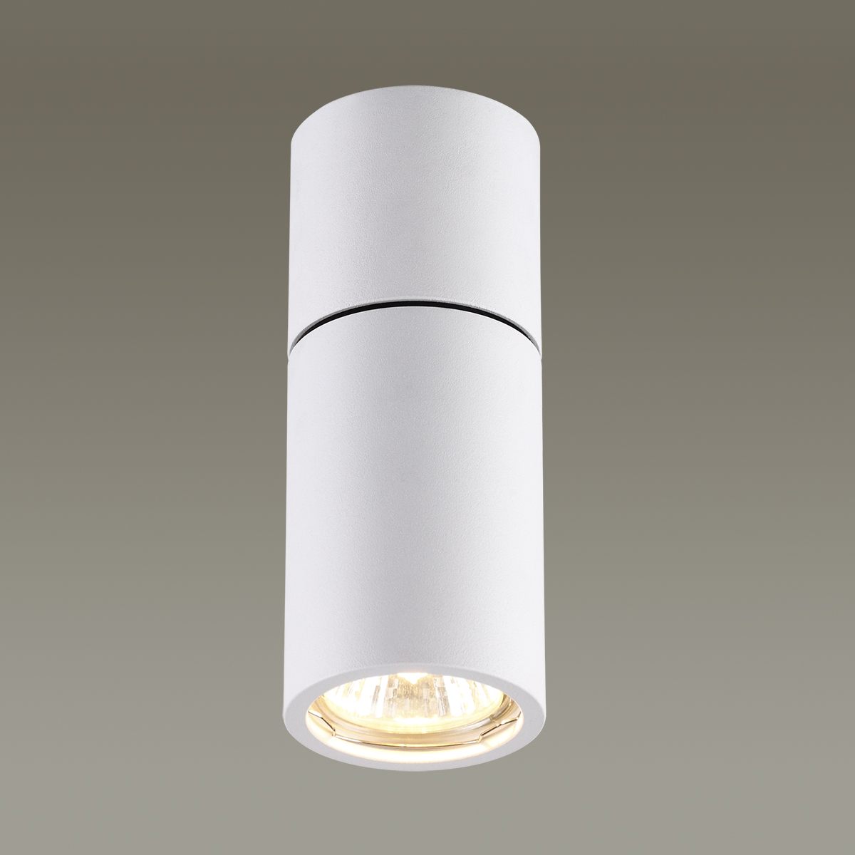 Светильник потолочный Odeon Light Duetta 3582/1C