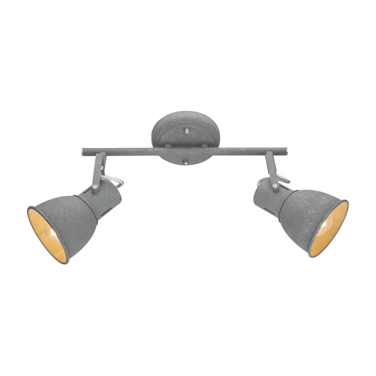 Светильник накладной Arte Lamp Jovi A1677PL-2GY