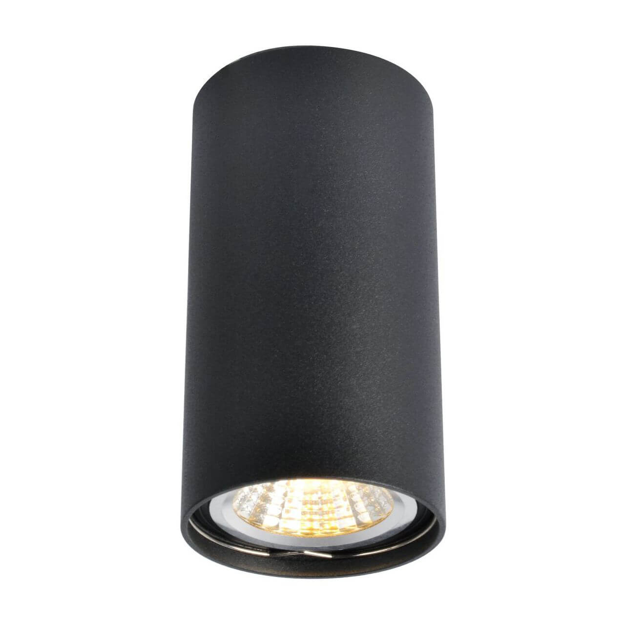 Светильник потолочный Arte Lamp Unix A1516PL-1BK