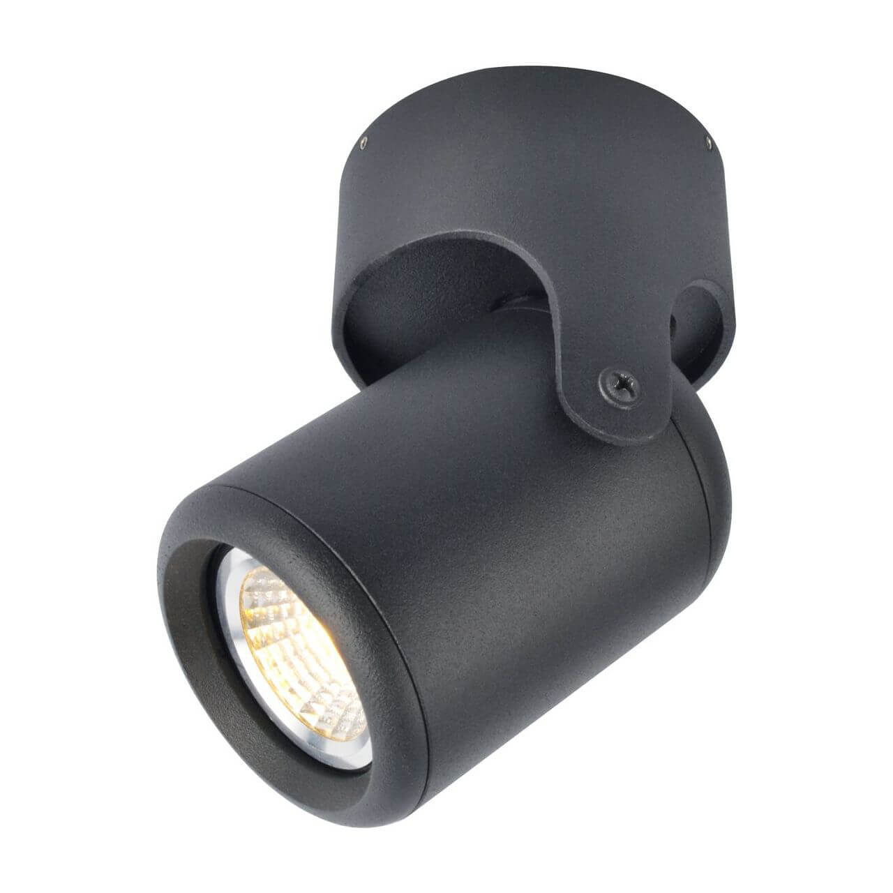 Светильник потолочный Arte Lamp Libra A3316PL-1BK