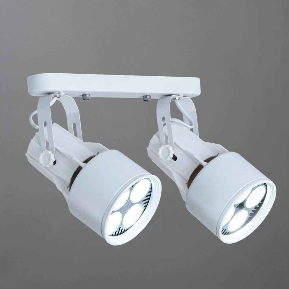Светильник накладной Arte Lamp Lyra A6252PL-2WH
