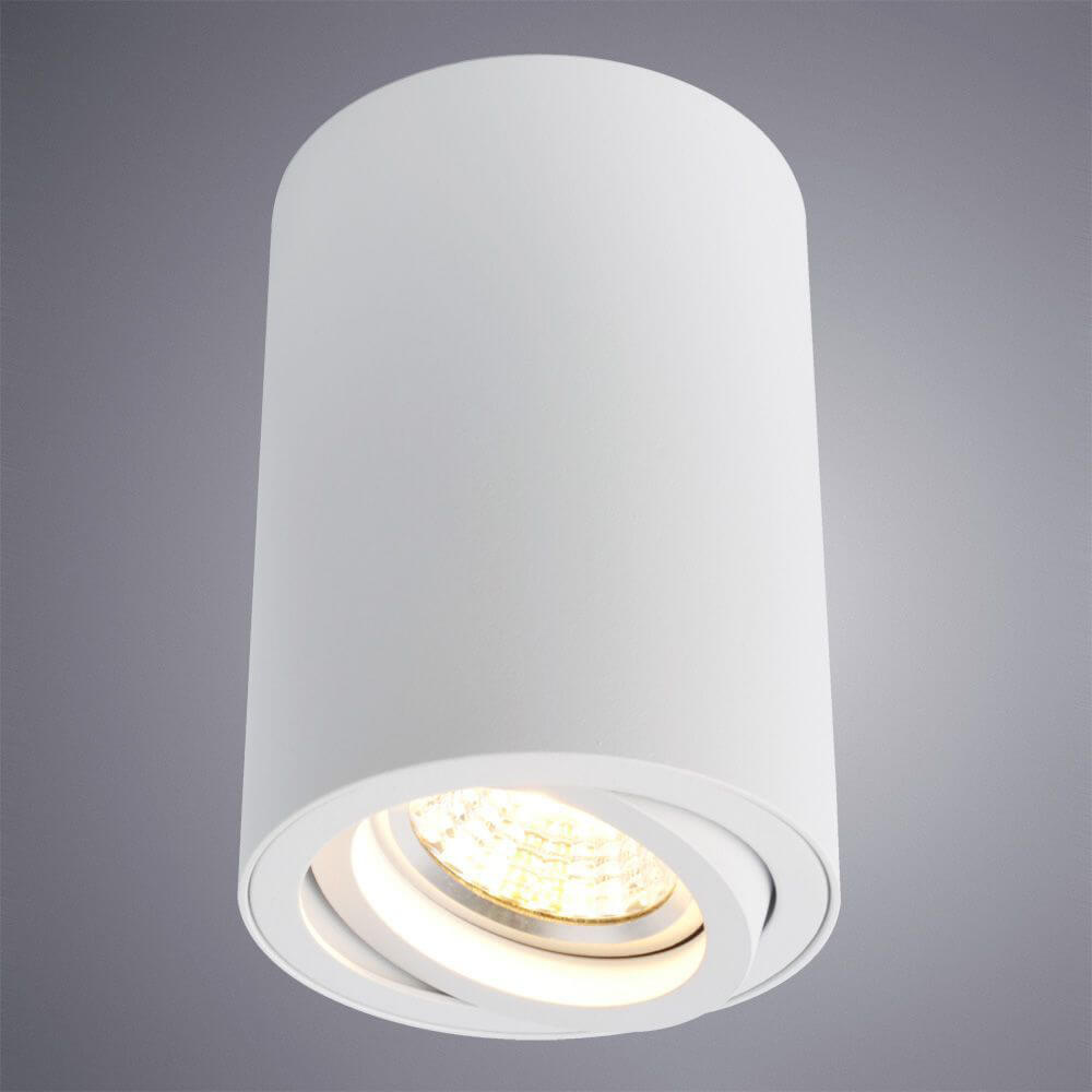 Светильник потолочный Arte Lamp Sentry A1560PL-1WH