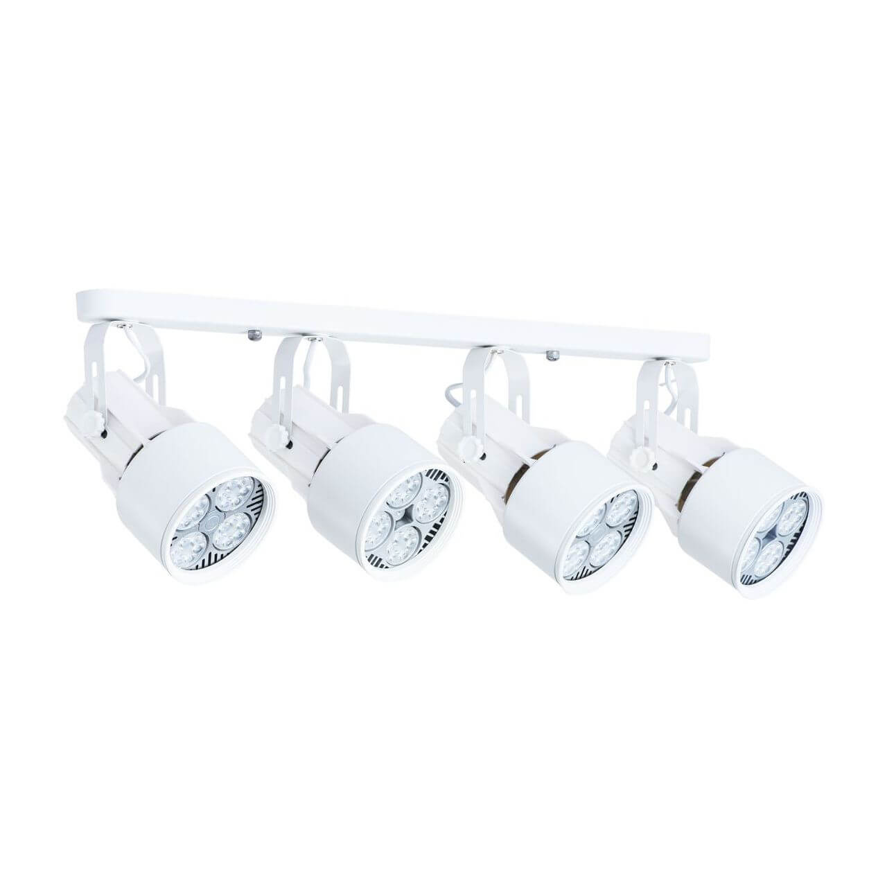 Светильник накладной Arte Lamp Lyra A6252PL-4WH