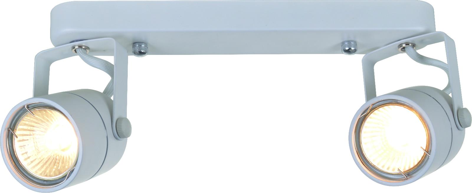 Светильник накладной Arte Lamp Lente A1310PL-2WH