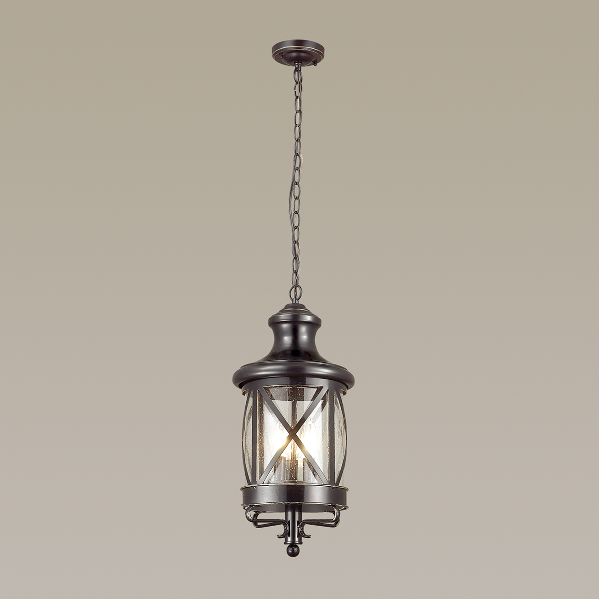 Светильник уличный подвесной Odeon Light Sation 4045/3