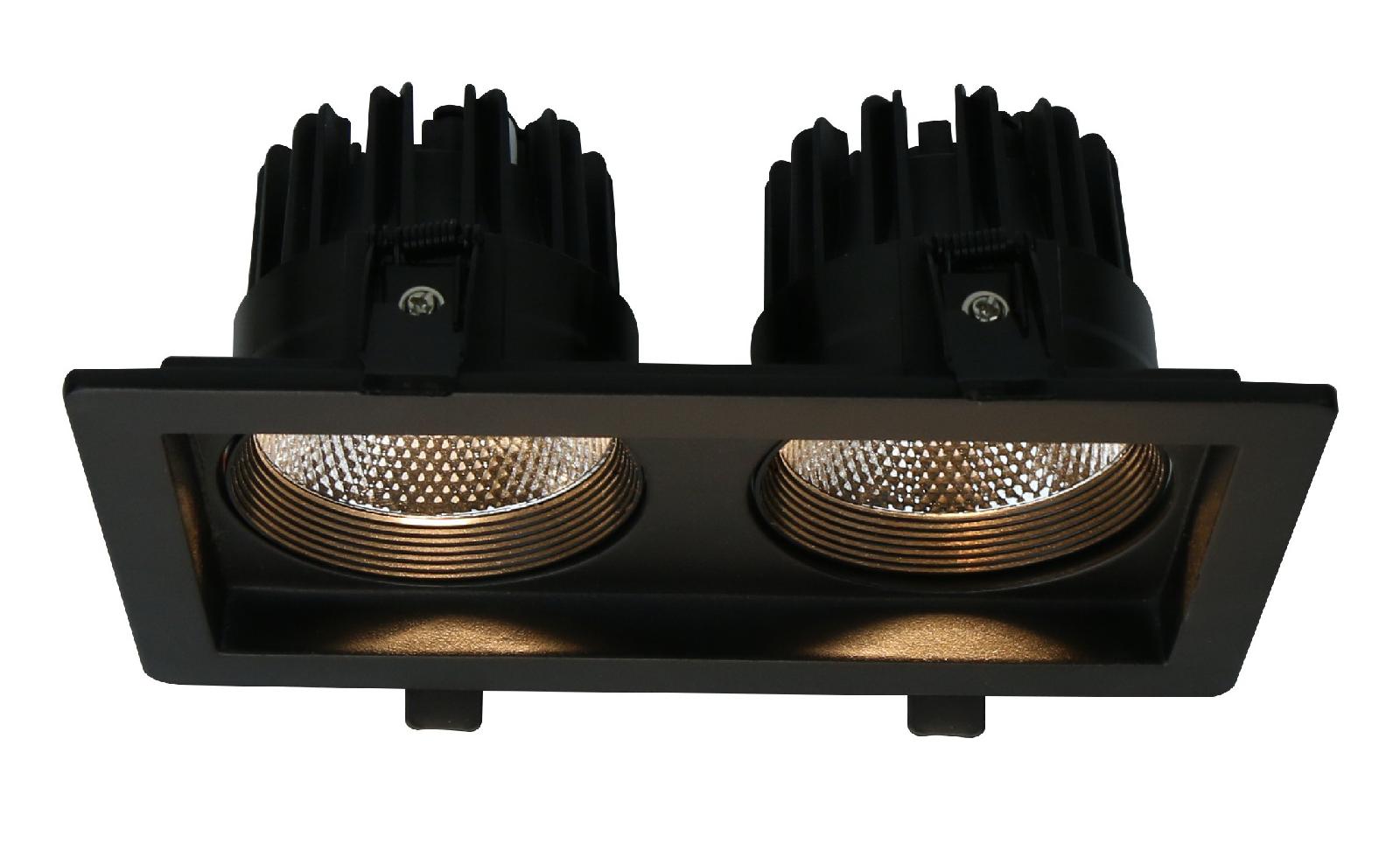 Светильник встраиваемый Arte Lamp Privato A7007PL-2BK