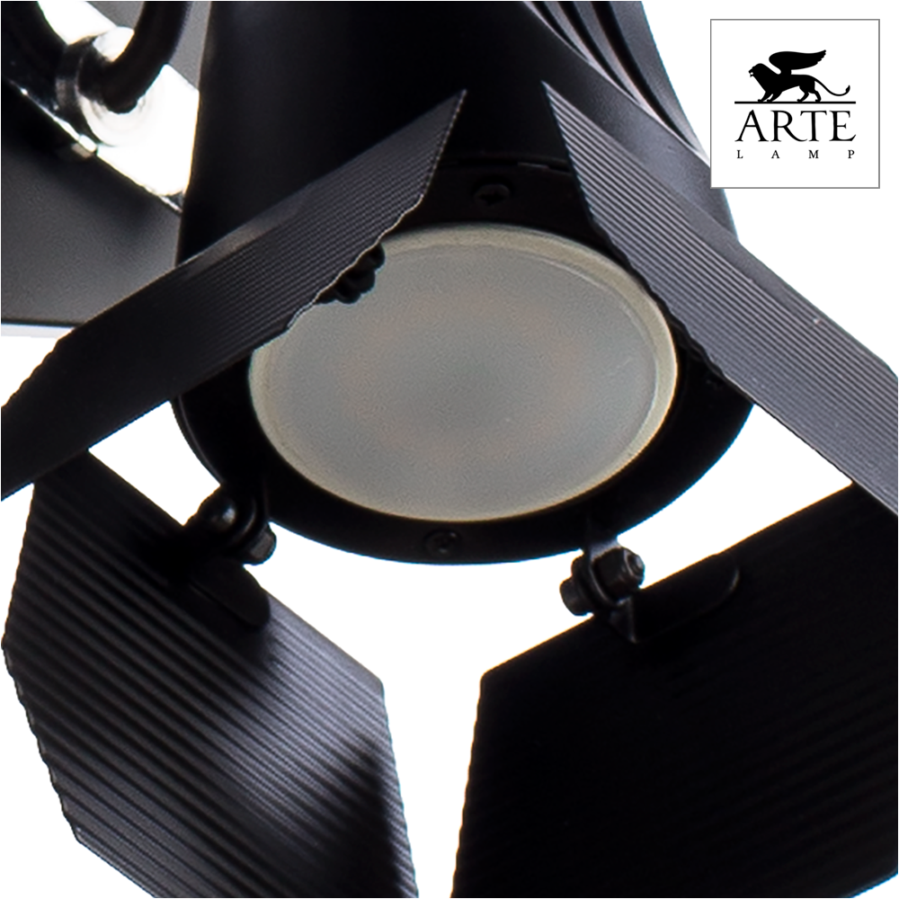 Светильник накладной Arte Lamp Cinema A3092AP-2BK