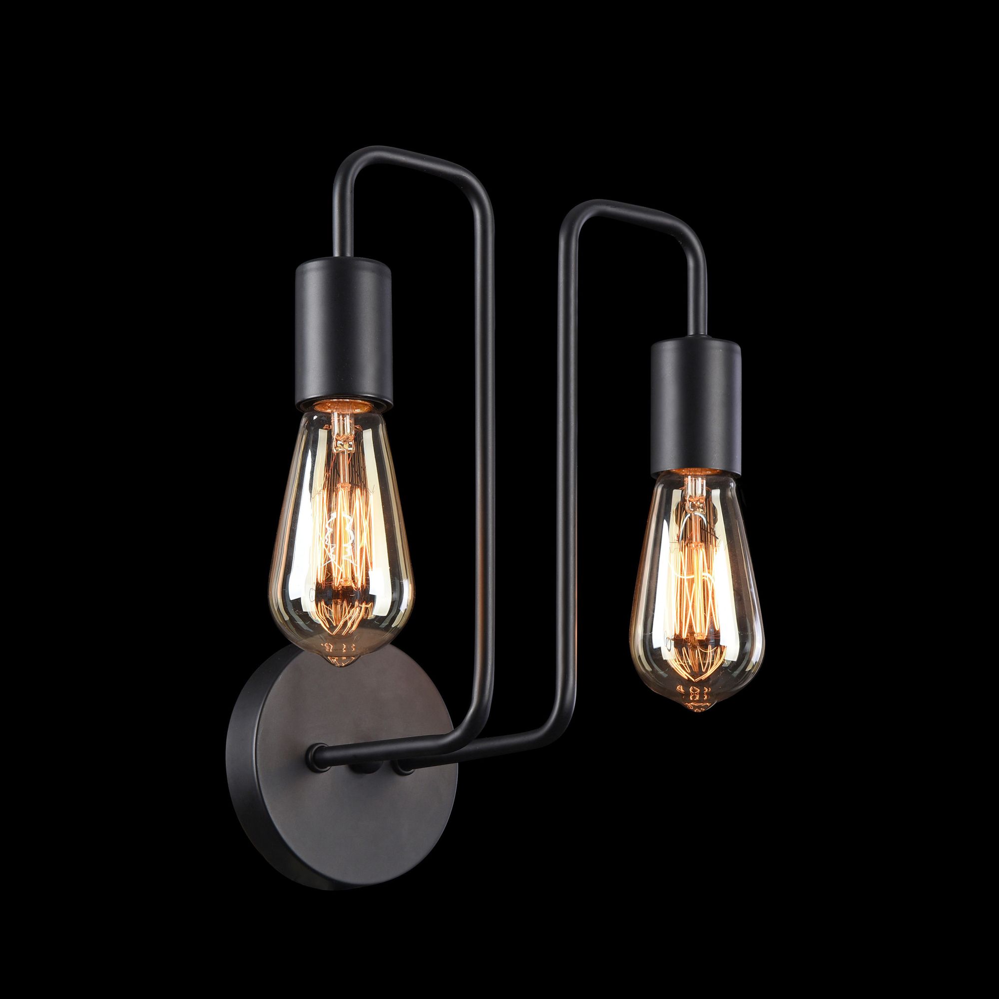 Светильник накладной Maytoni Gilbert T532WL-02B