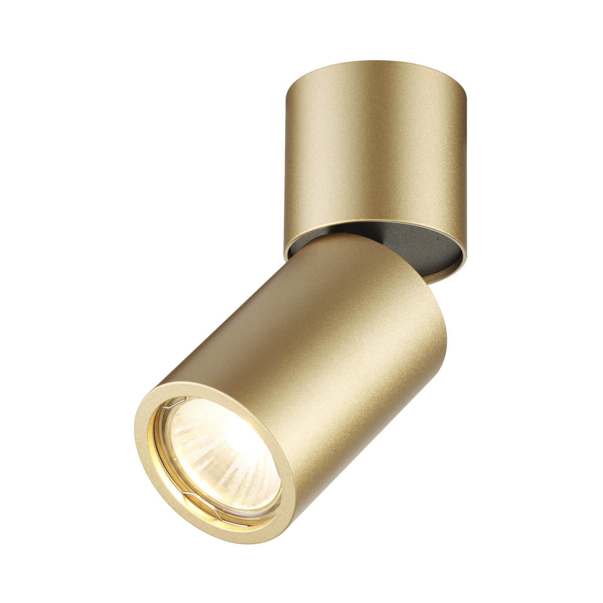 Светильник потолочный Odeon Light Duetta 3895/1C
