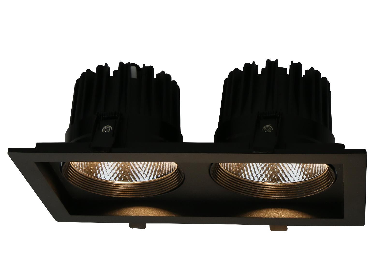 Светильник встраиваемый Arte Lamp Privato A7018PL-2BK
