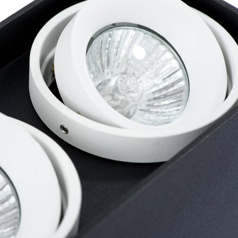 Светильник потолочный Arte Lamp Pictor A5655PL-2BK