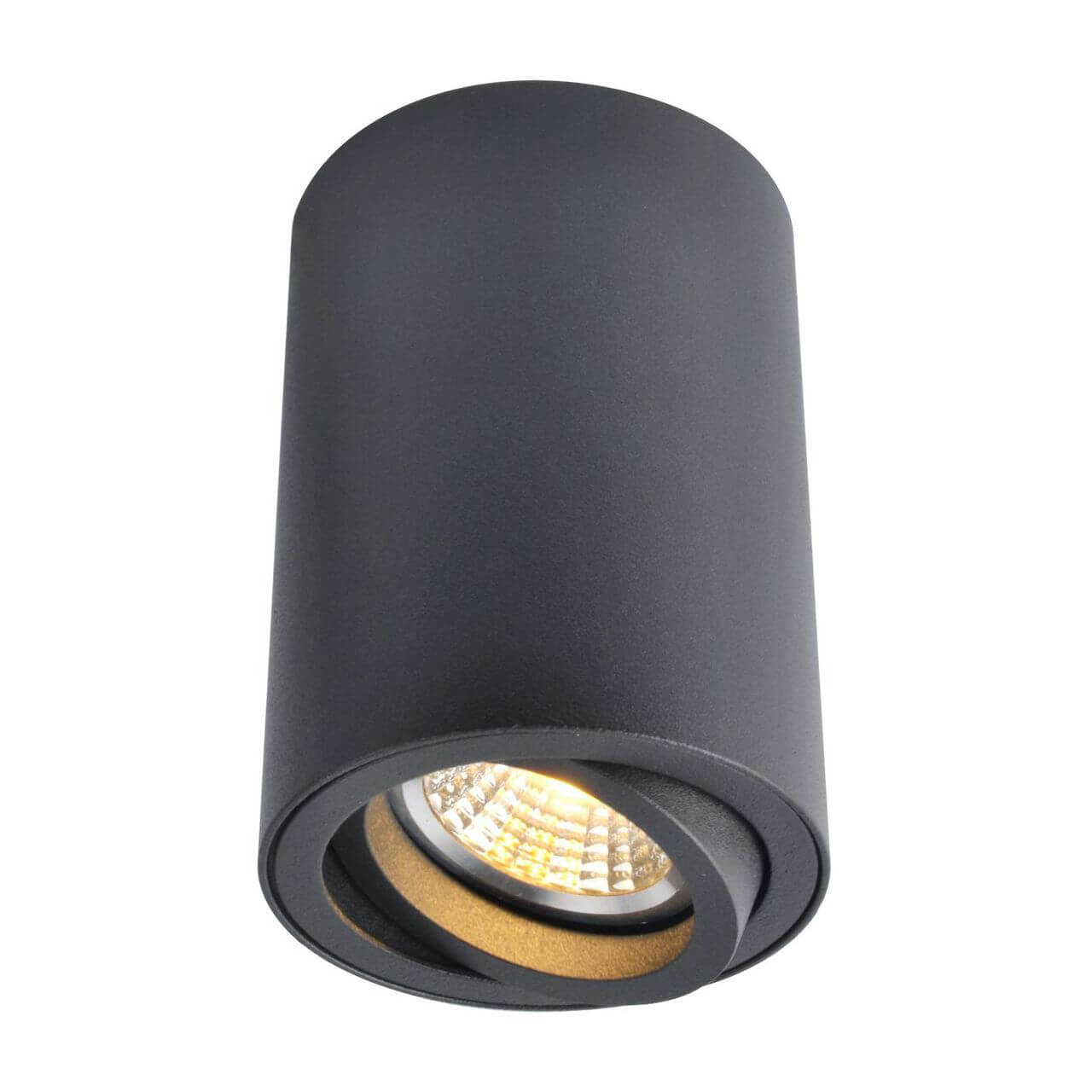 Светильник потолочный Arte Lamp Sentry A1560PL-1BK