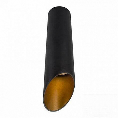 Светильник потолочный Arte Lamp Pilon-Gold A1535PL-1BK