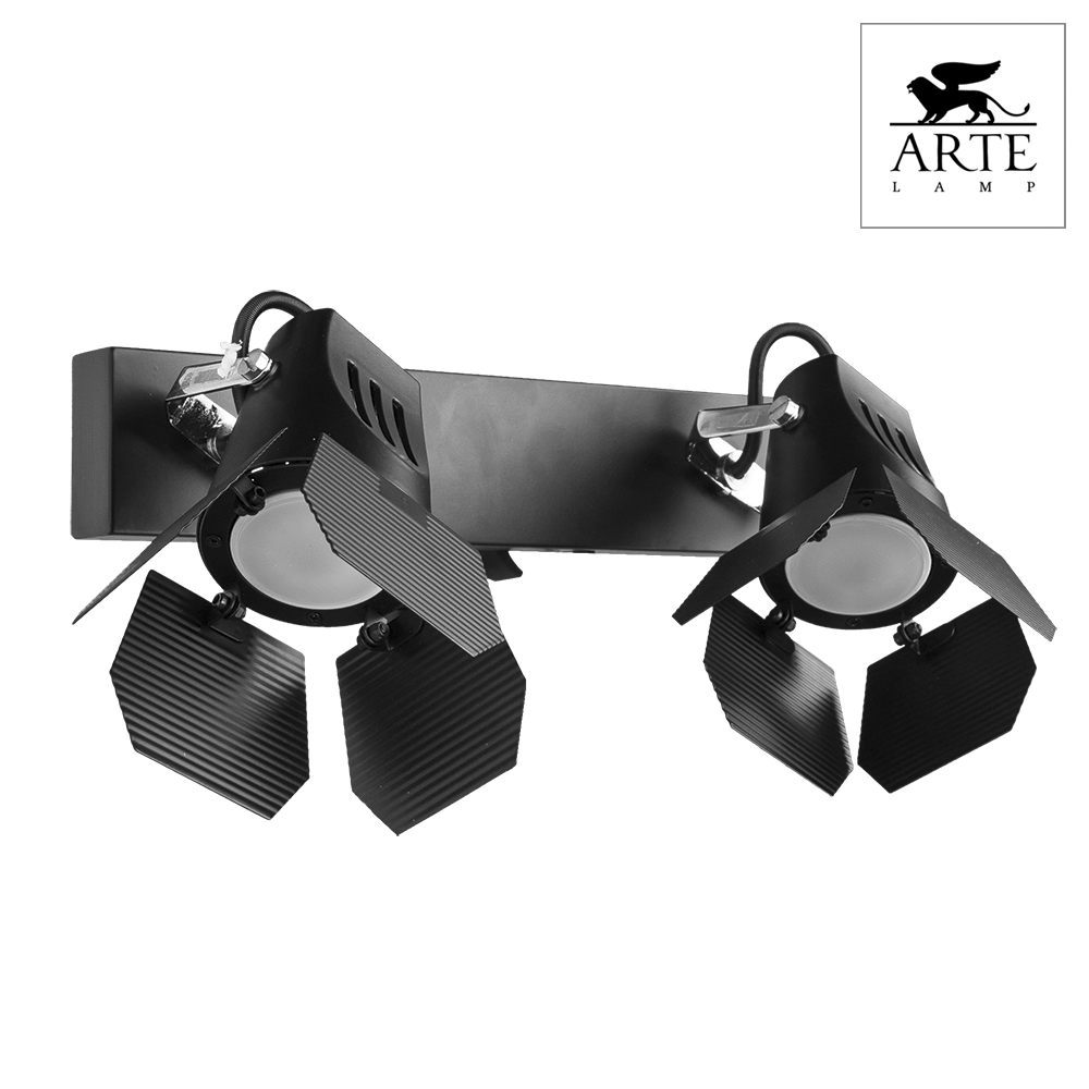 Светильник накладной Arte Lamp Cinema A3092AP-2BK