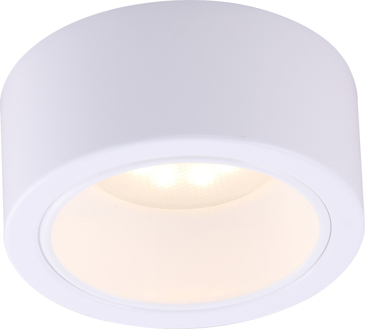 Светильник потолочный Arte Lamp Effetto A5553PL-1WH