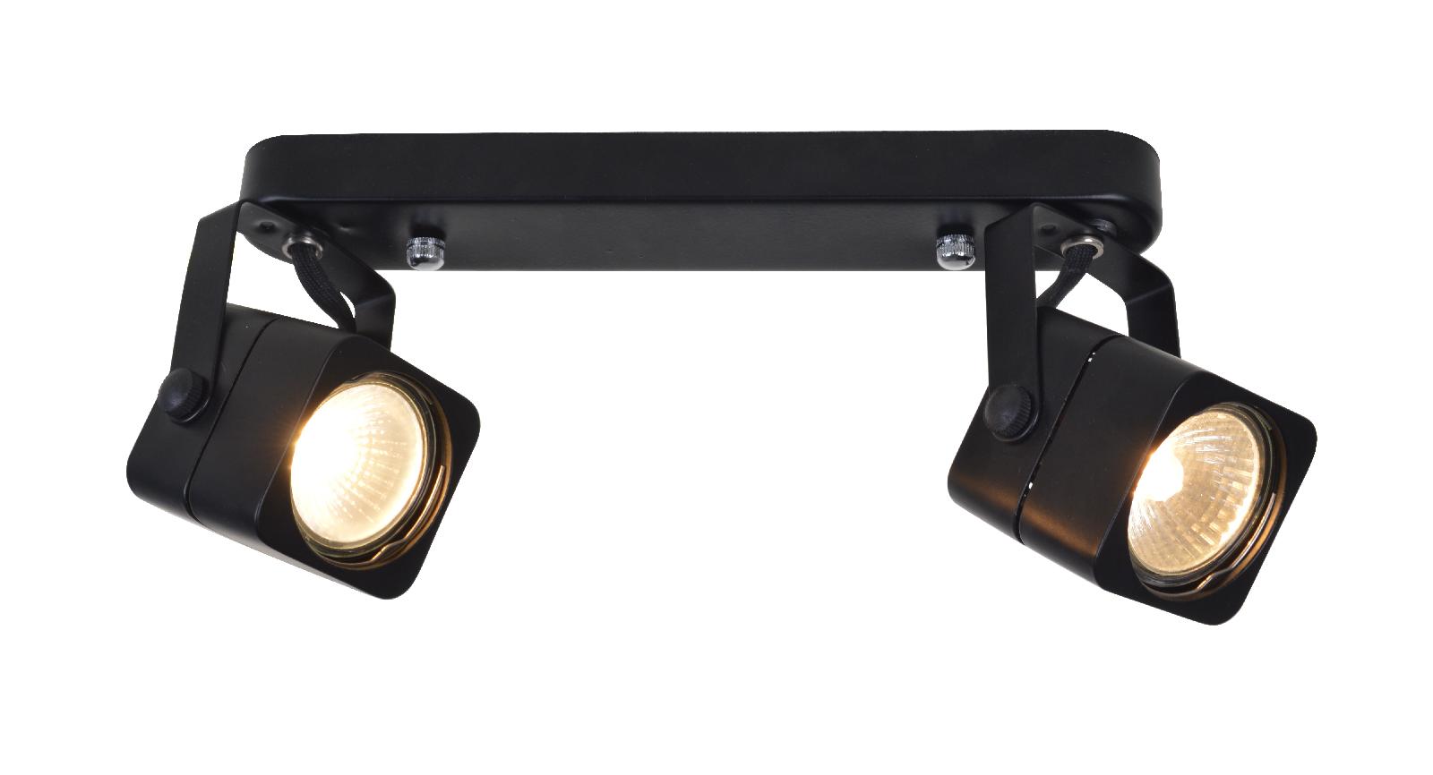 Светильник накладной Arte Lamp Lente A1314PL-2BK