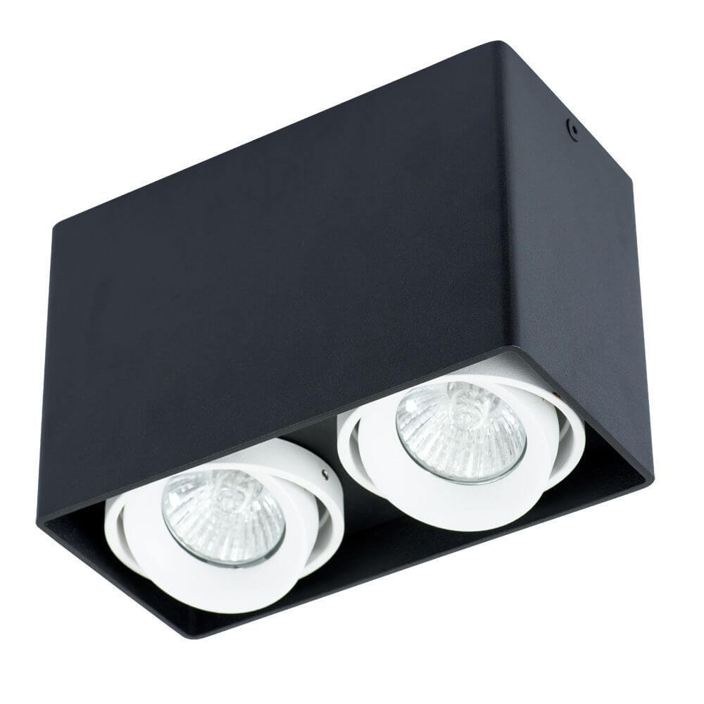 Светильник потолочный Arte Lamp Pictor A5655PL-2BK