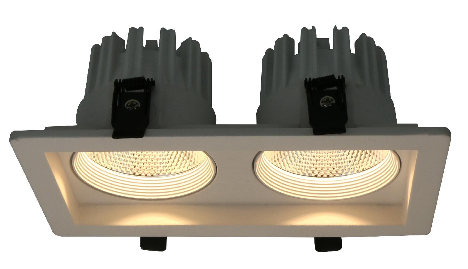 Светильник встраиваемый Arte Lamp Privato A7007PL-2WH
