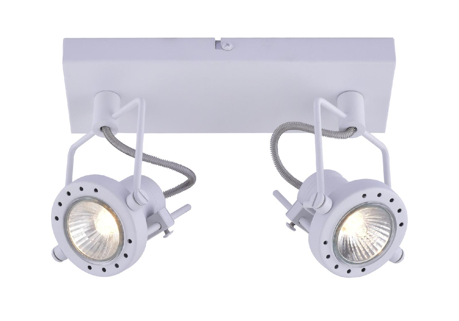 Светильник накладной Arte Lamp Costruttore A4300AP-2WH