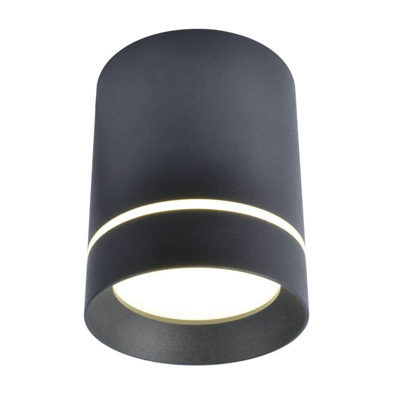 Светильник потолочный Arte Lamp Elle A1909PL-1BK