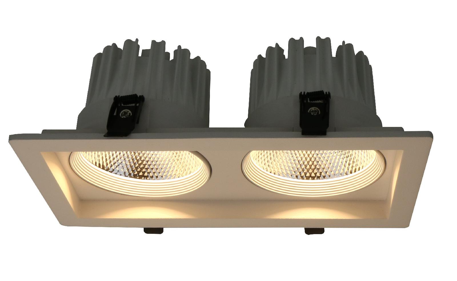 Светильник встраиваемый Arte Lamp Privato A7018PL-2WH