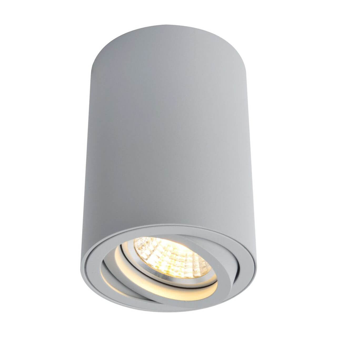Светильник потолочный Arte Lamp Sentry A1560PL-1GY