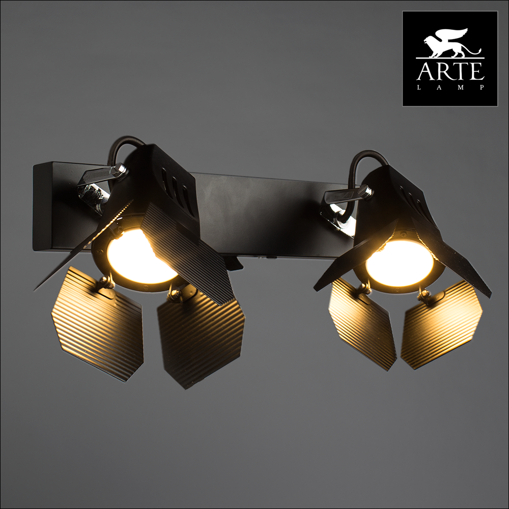 Светильник накладной Arte Lamp Cinema A3092AP-2BK