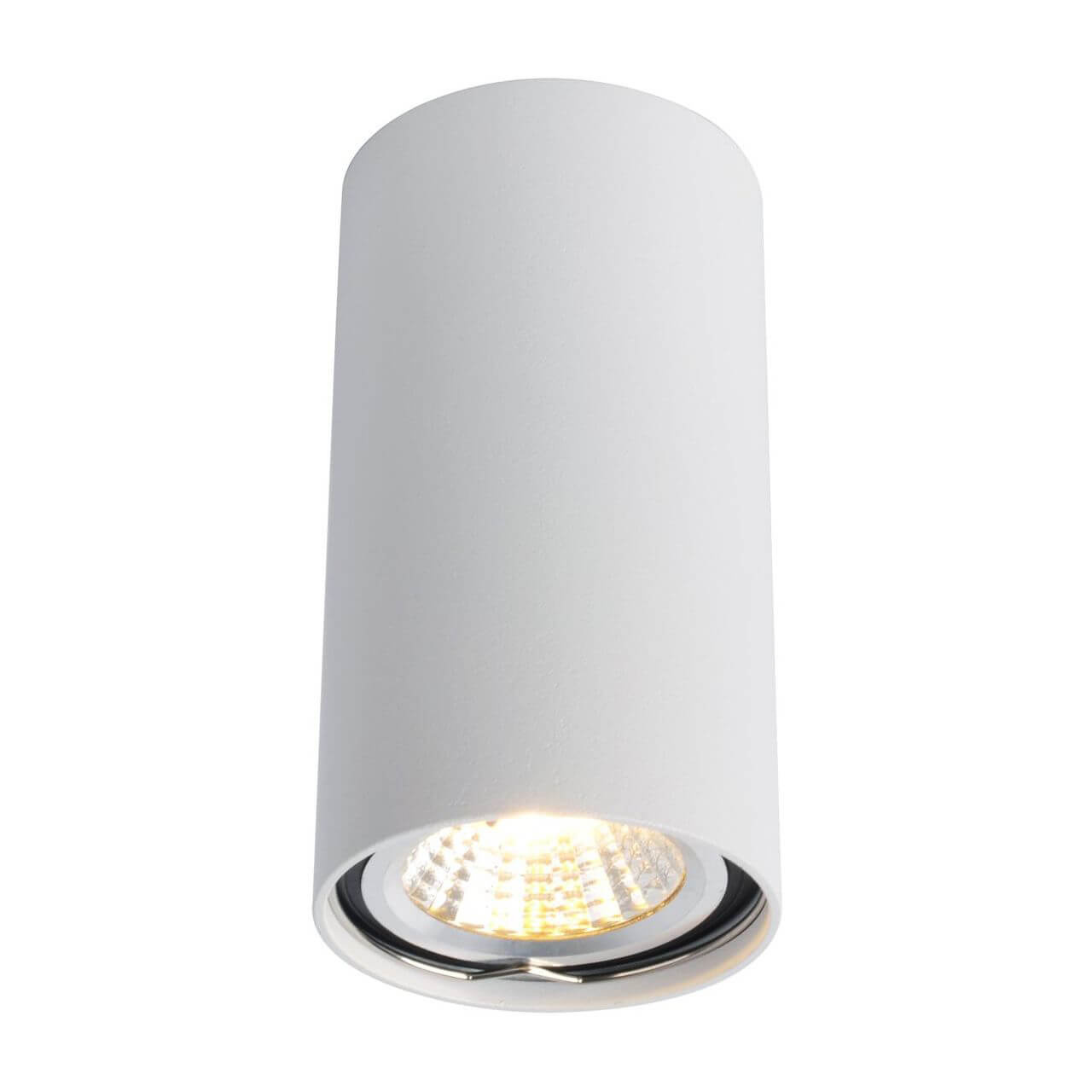 Светильник потолочный Arte Lamp Unix A1516PL-1WH