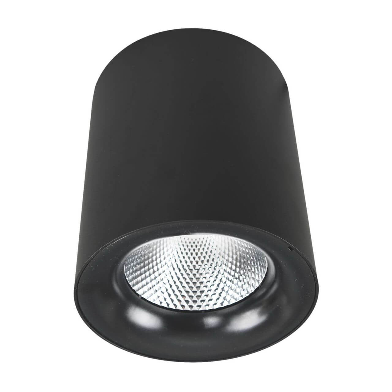 Светильник потолочный Arte Lamp Facile A5112PL-1BK