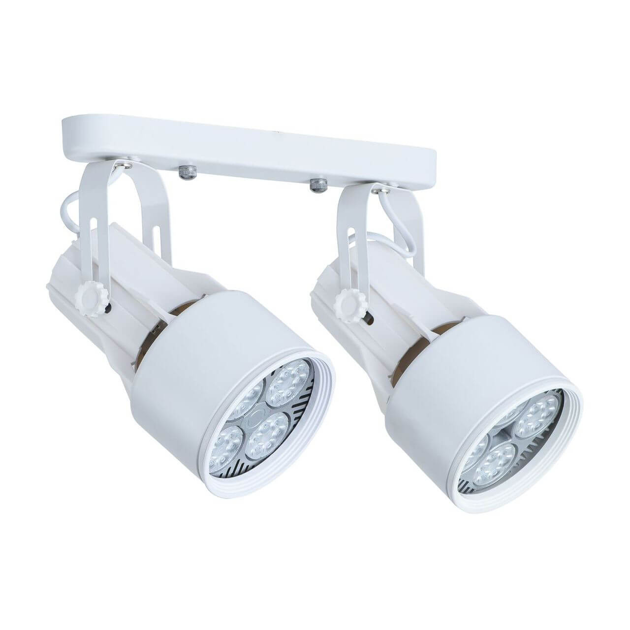 Светильник накладной Arte Lamp Lyra A6252PL-2WH