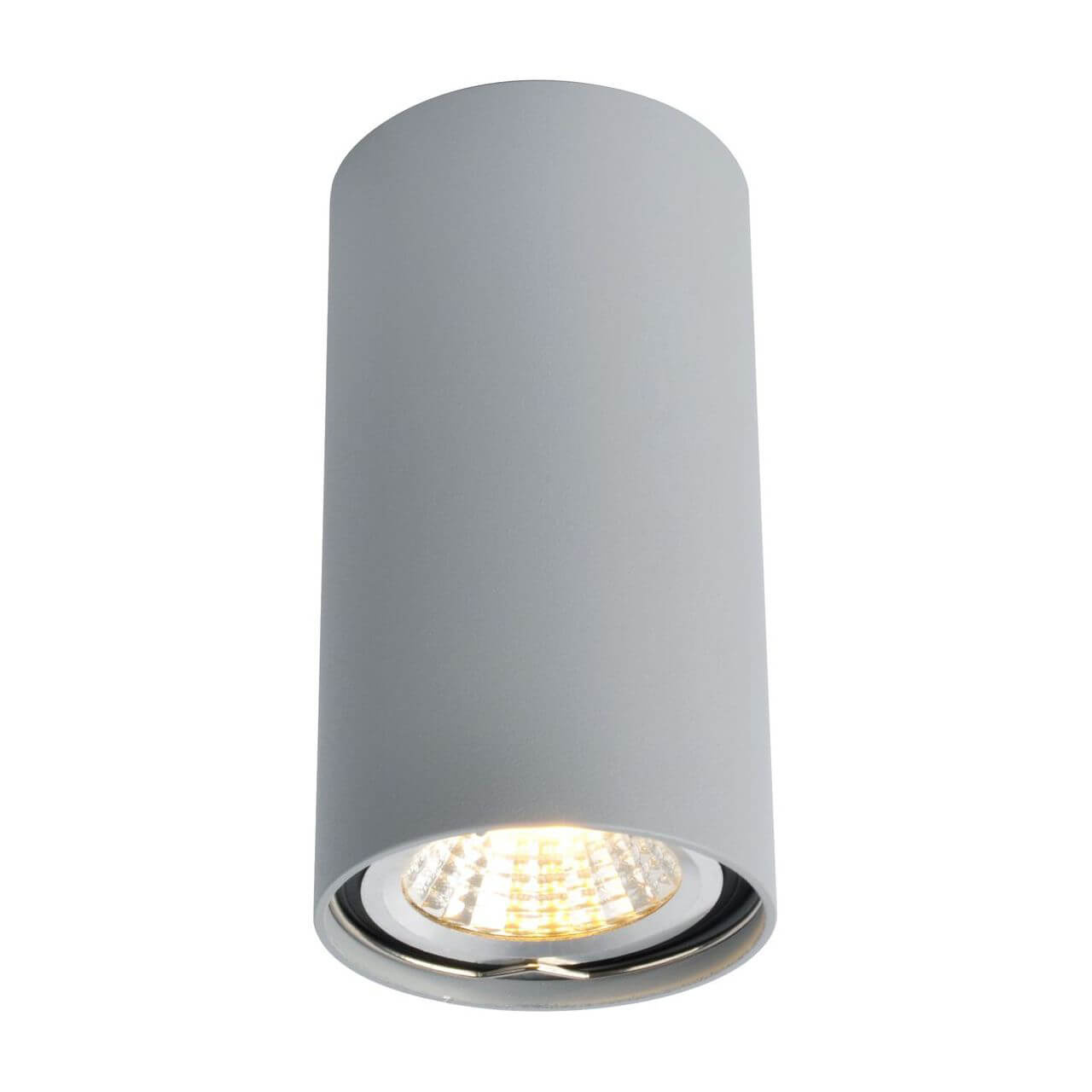 Светильник потолочный Arte Lamp Unix A1516PL-1GY