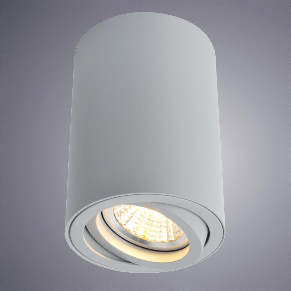 Светильник потолочный Arte Lamp Sentry A1560PL-1GY