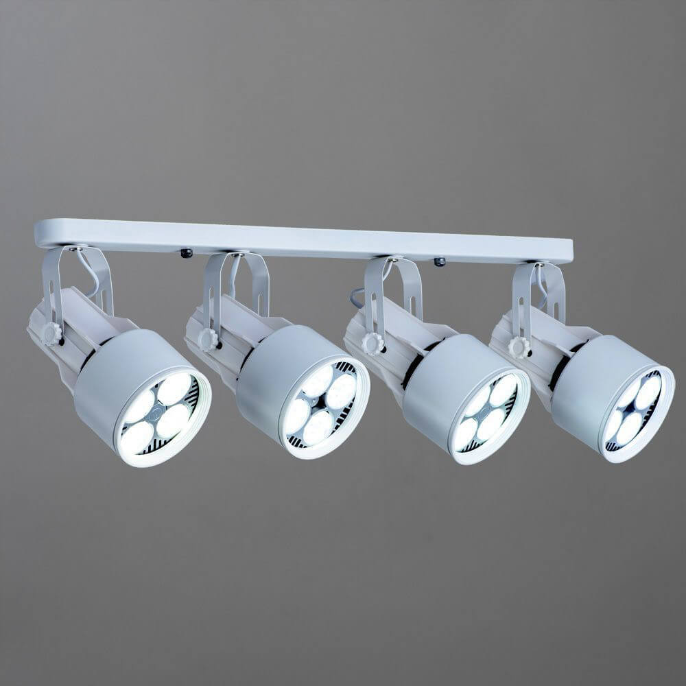 Светильник накладной Arte Lamp Lyra A6252PL-4WH