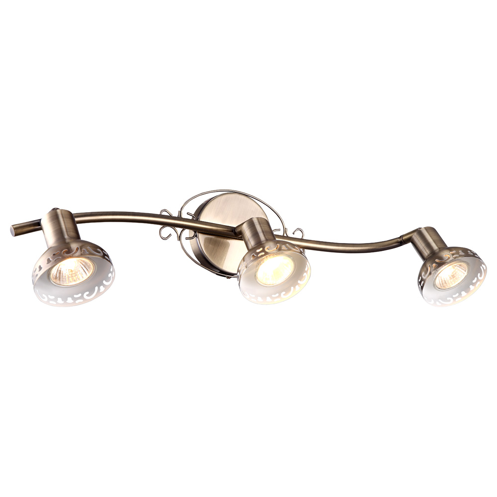 Светильник накладной Arte Lamp Focus A5219PL-3AB