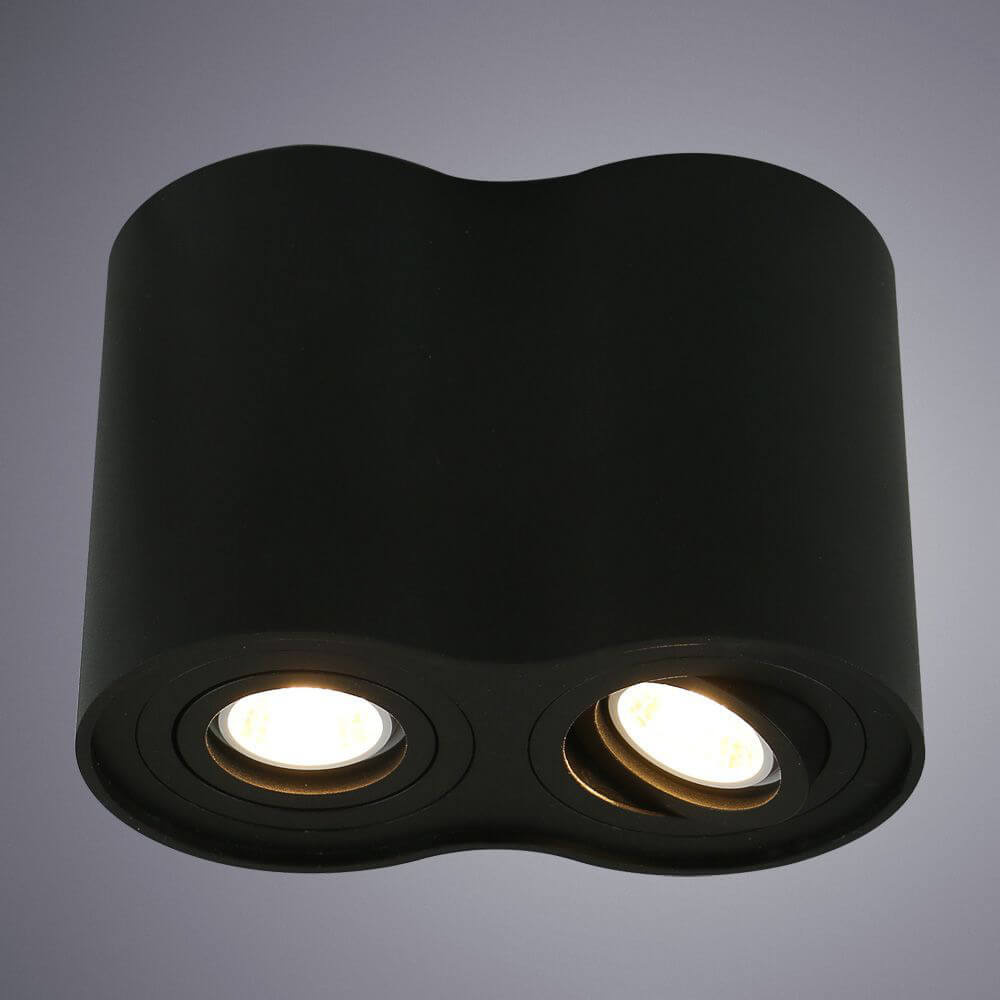 Светильник потолочный Arte Lamp Falcon A5644PL-2BK